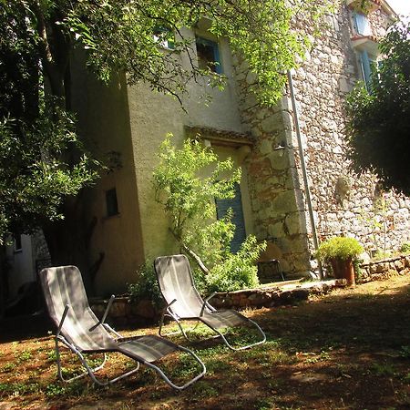 Holiday Home Botanica Drenje  Rom bilde