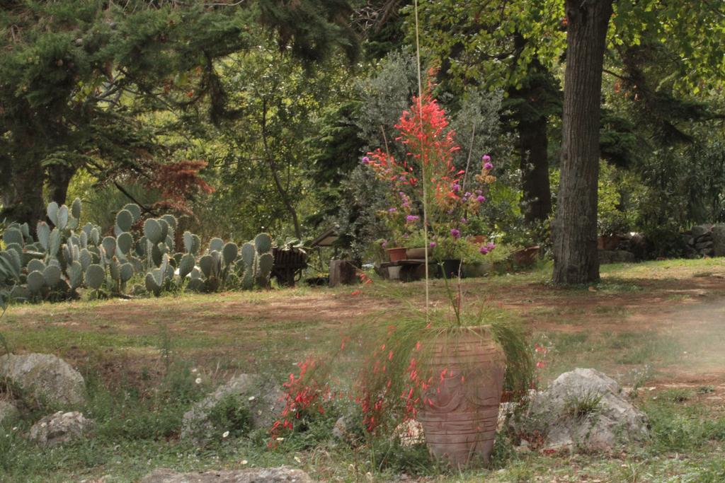 Holiday Home Botanica Drenje  Rom bilde