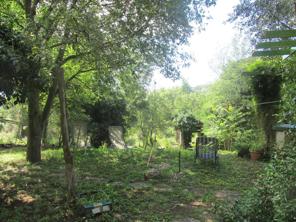 Holiday Home Botanica Drenje  Rom bilde