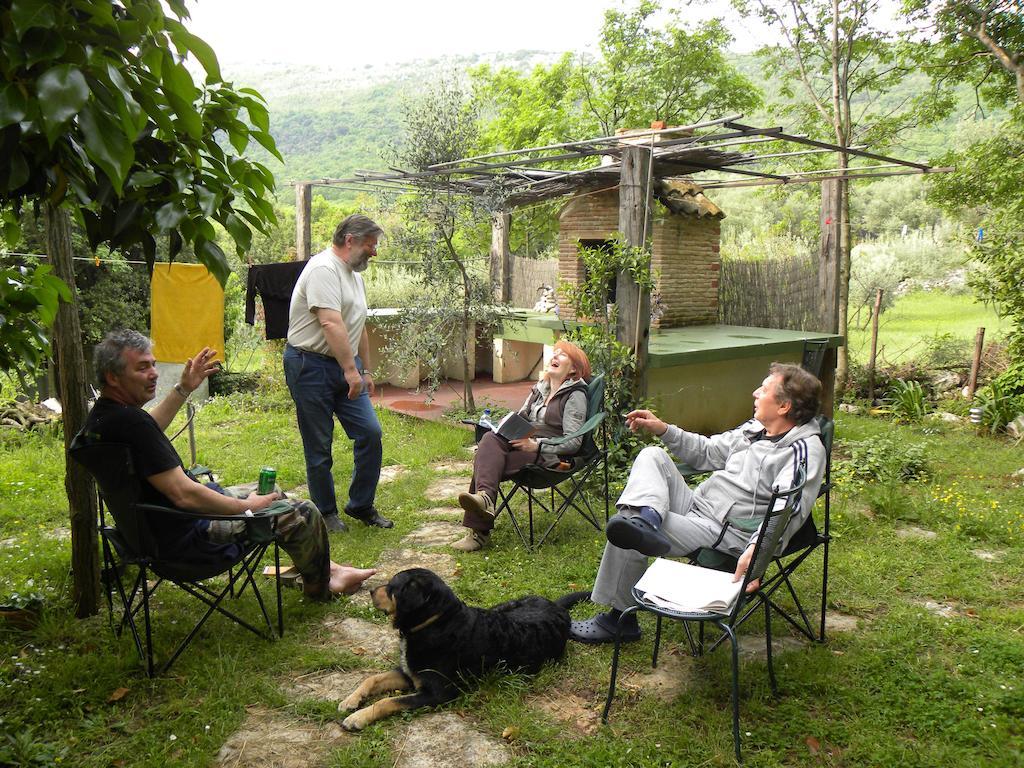 Holiday Home Botanica Drenje  Rom bilde