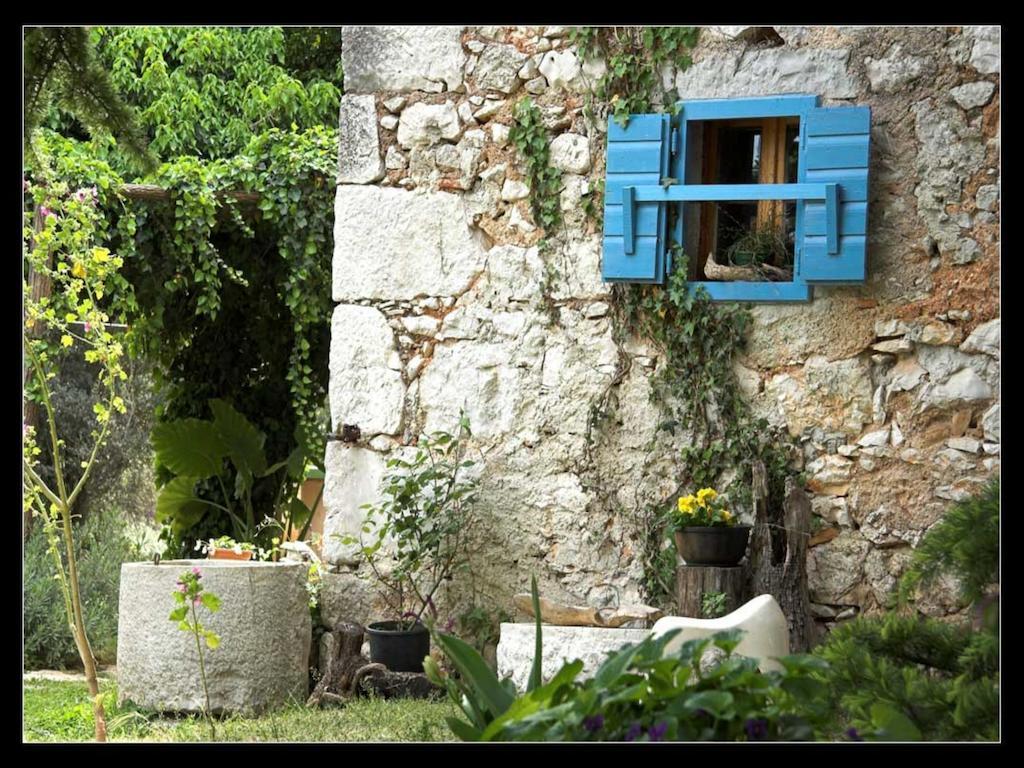 Holiday Home Botanica Drenje  Rom bilde